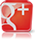 Google+ Icon