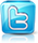 Twitter Icon